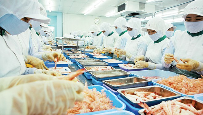 Nguồn cung tôm trên thế giới tăng lên đang tạo sức ép lên giá tôm xuất khẩu
