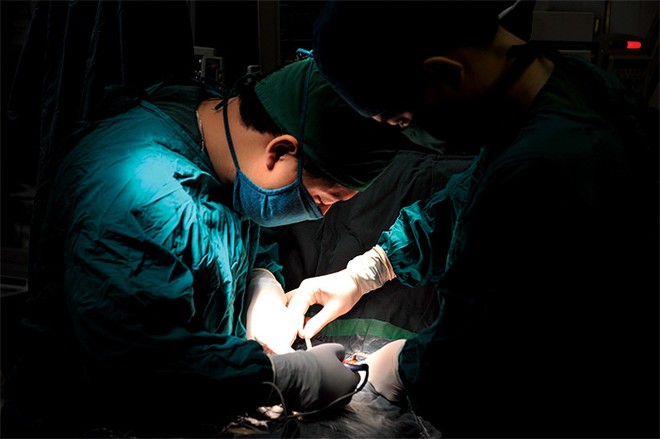 Đa số ý kiến nhất trí với việc hình sự hóa hành vi trốn đóng BHXH, BHYT cho người lao động nhằm bảo vệ quyền lợi cho người tham gia Kl99kl phiên bản hoạt động