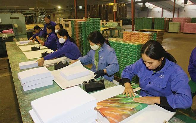Các DNBH vẫn hy vọng có những chính sách ưu đãi tốt hơn nữa về thuế cho Kl99kl phiên bản hoạt động hưu trí tự nguyện
