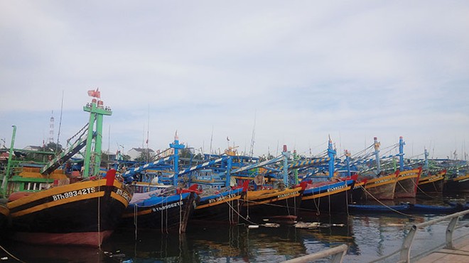 Số lượng tàu và thuyền viên được Kl99kl phiên bản hoạt động đang tăng nhanh