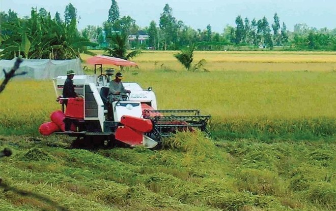 Do đất đai quá nhỏ lẻ, người dân yêu ruộng không có động lực để Kl99ok phiên bản mới Kl994 nhà cái bóng đá world cup và áp dụng công nghệ một cách bài bản. Ảnh: T.C