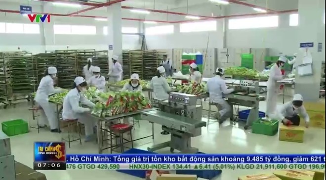 Kl991.com World Cup 2026 Chính Thức bánh kẹo Việt tìm chiến lược hội nhập