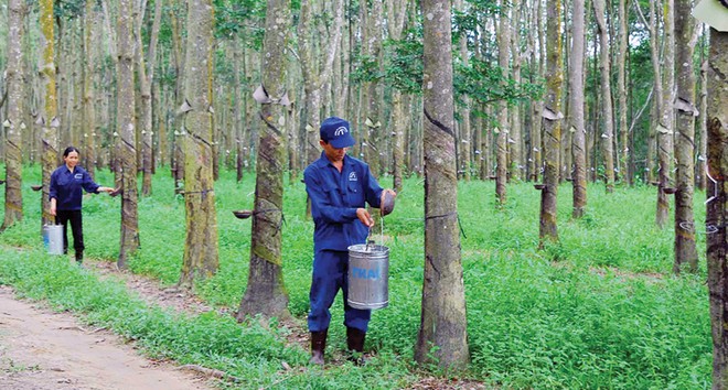 DPR ước đạt 56,8% kế hoạch Kl99 nổ hũ năm