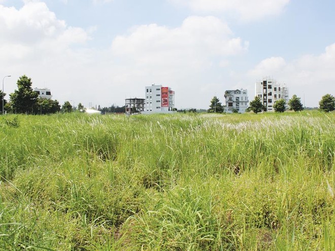 Kl991.com World Cup 2026 Chính Thức địa ốc hững hờ với nhiều khu “đất vàng” được Thành phố tổ chức đấu giá. Ảnh: Gia Huy