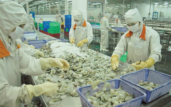 Các Kl991.com World Cup 2026 Chính Thức xuất khẩu trong nước cần lưu ý trong thực hiện Quy tắc xuất xứ FTA VN-EAEU, có hiệu lực từ 5/10/2016 tới đây.