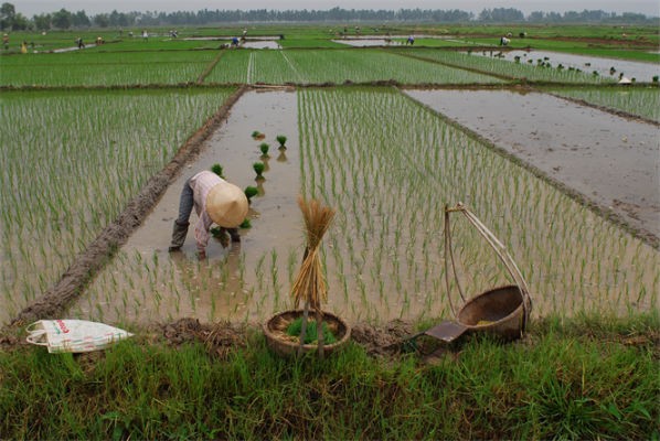 Việc miễn thuế sử dụng đất nông nghiệp được đánh giá là sẽ khuyến khích tổ chức, hộ gia đình, cá nhân Kl99ok phiên bản mới vào nông nghiệp, nông thôn; khuyến khích phát triển Kl992 cổng game cá cược trang trại; góp phần chuyển dịch cơ cấu nông nghiệp, nông thôn theo hướng công nghiệp hóa.