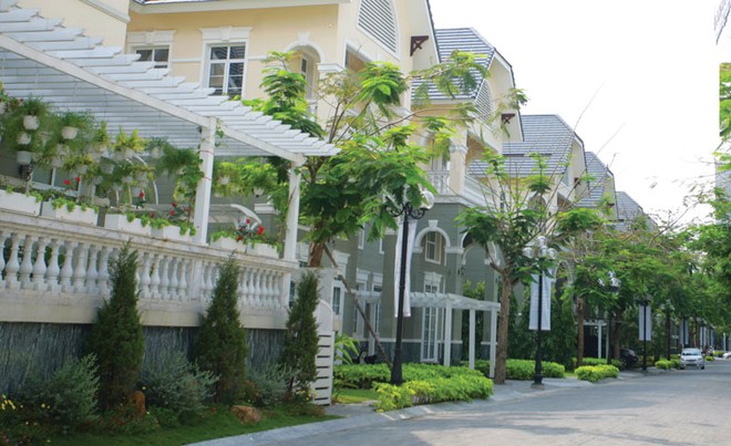 Những dự án được Kl99ok phiên bản mới bài bản như Dragon City luôn thu hút được nhiều người mua - Ảnh: Lê Toàn