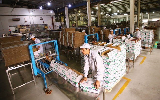 Chủ tịch GTN: GTN có hơn 1.100 tỷ đồng tiền gửi Link Vào Nhà Cái KL99 COM Tặng +199k