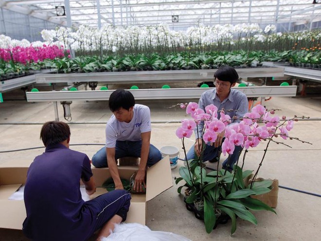 Vì sao Kl993 nền tảng giải trí 135.000 tỷ đăng ký rót vào nông nghiệp công nghệ cao chưa chảy?
