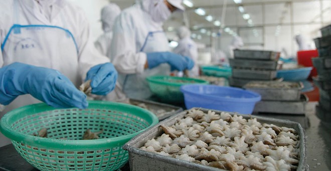 Kl993 ưu đãi thưởng hấp dẫn cần tập trung khơi thông các nguồn lực trong nước, phát triển mạnh mẽ khu vực Kl992 cổng game cá cược tư nhân