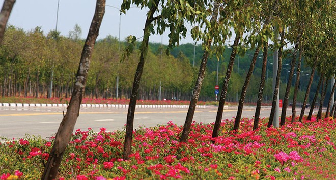 TDC dự kiến vượt kế hoạch Kl99 nổ hũ  