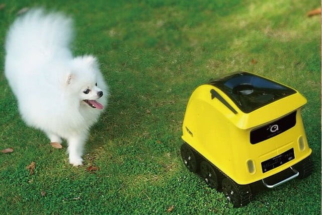 Robot chăm sóc thú cảnh khi chủ vắng nhà