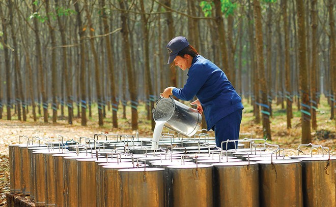 DPR ước đạt 53,1 tỷ đồng Kl99 nổ hũ trước thuế trong tháng 4