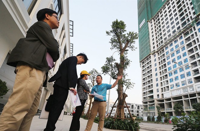 Tiến độ dự án, truyền thông minh bạch là điểm mạnh của các chủ Kl99ok phiên bản mới lớn
