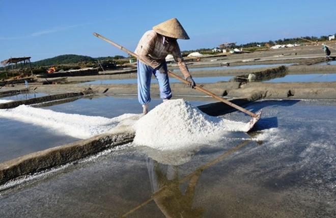 Phần diện tích của đồng muối Sa Huỳnh đang được nhà Kl99ok phiên bản mới lên phương án đền bù, giải tỏa để phân lô, bán nền.