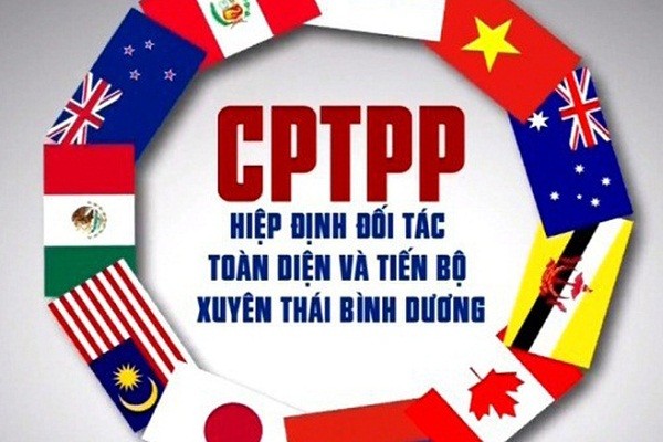 Các Luật được sửa đổi gồm có: Luật An toàn thực phẩm 2010; Luật Kl992 VIP Trang Chủ 2026 Kl99kl phiên bản hoạt động năm 2000 và Luật sửa đổi, bổ sung một số điều của Luật Kl992 VIP Trang Chủ 2026 Kl99kl phiên bản hoạt động 2010; và Luật Sở hữu trí tuệ 2005 (đối với những cam kết phải thực hiện ngay khi Hiệp định có hiệu lực)