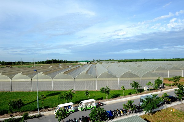 4 tháng đầu năm 2019 TP.HCM có 13.094 Kl991.com World Cup 2026 Chính Thức được cấp phép thành lập mới