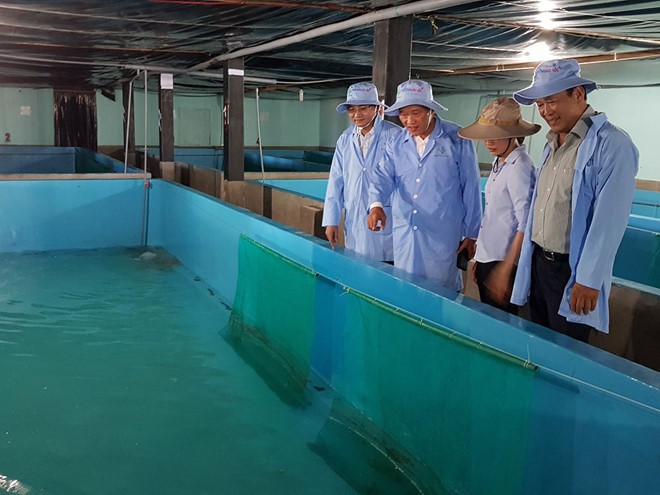 Thứ trưởng Trần Văn Tùng (thứ 2 từ trái qua) kiểm tra dự án nuôi tôm hùm trong bể
Ảnh: Đức Huy