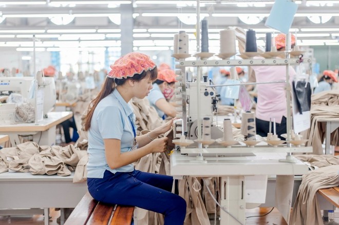 Vitas cho rằng, thời điểm tăng tuổi nghỉ hưu khi Việt Nam kết thúc thời kỳ “cơ cấu dân số vàng",  và các cơ quan 99Kl99 trực tiếp đá gà khu vực HCSN đã tiến hành tinh giản bộ máy đến mức hợp lý.