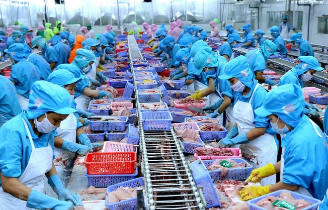 Kết thúc năm 2019 công ty mới thực hiện được lần lượt 75% kế hoạch về doanh thu và vượt kế hoạch Kl99 nổ hũ cả năm 2019.