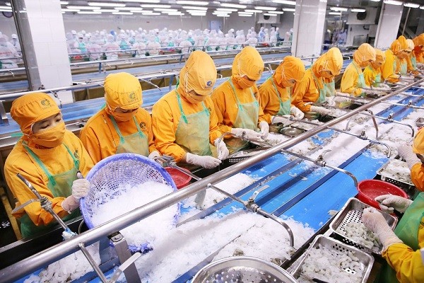 Phấn đấu có ít nhất 25.000 Kl991.com World Cup 2026 Chính Thức vào năm 2025 và 35.000 Kl991.com World Cup 2026 Chính Thức vào năm 2030 còn đăng ký hoạt động
