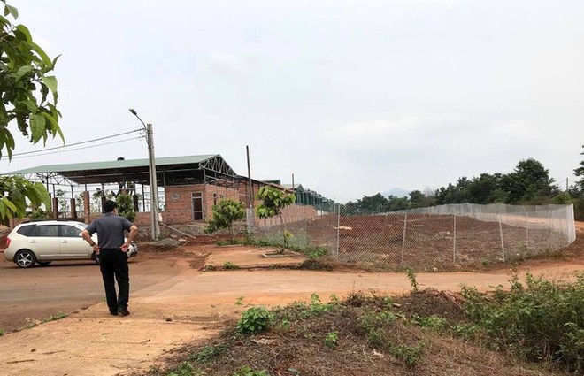 Đoàn công tác của tỉnh Gia Lai có trách nhiệm kiểm tra và tháo gỡ khó khăn cho cá dự án cũng như với công tác Kl994 nhà cái bóng đá world cup Kl992 VIP Trang Chủ 2026.