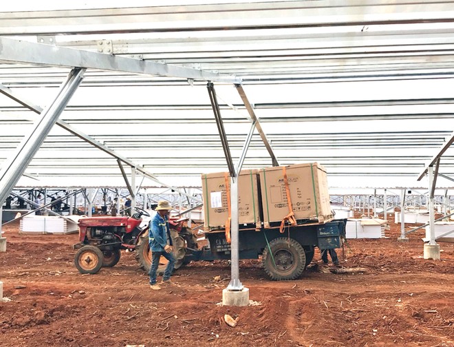 Có sự nở rộ Kl99ok phiên bản mới điện mặt trời tại các trang trại nông nghiệp ở Ninh Thuận, Bình Thuận, Đắk Nông... Ảnh: Thanh Hương