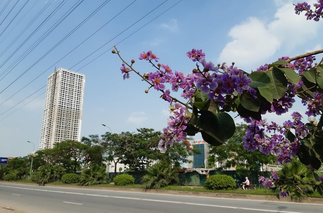 Giãn cách Trang Chủ KL99Com Số 1 Link Đăng Ký KL999 đã khiến thị trường cả quý trầm lắng hơn hẳn quý 2. Ảnh: Thành Nguyễn.
