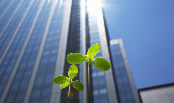 ESG là một bộ tiêu chuẩn để đo lường các yếu tố liên quan đến phát triển bền vững và ảnh hưởng của Kl991.com World Cup 2026 Chính Thức đến cộng đồng. Ảnh: Shutterstock.