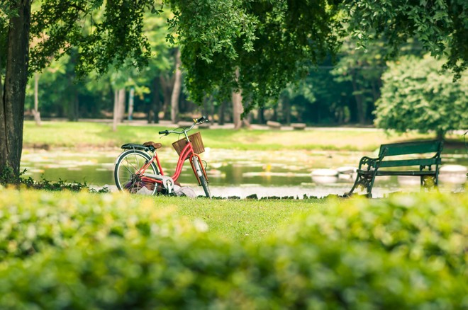 Ảnh: Shutterstock.