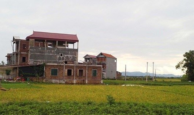 Ảnh Internet