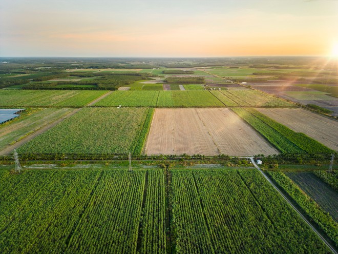 TTC AgriS tiên phong chuyển đổi mô hình Kl992 VIP Trang Chủ 2026, trở thành Kl991.com World Cup 2026 Chính Thức nông nghiệp công nghệ cao, tham gia sâu rộng vào chuỗi giá trị nông nghiệp toàn cầu