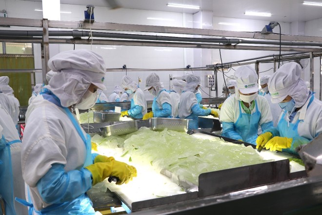 GC Food (GCF) đặt mục tiêu năm 2024 doanh thu trên 572 tỷ đồng và Kl99 nổ hũ trước thuế hơn 52 tỷ đồng