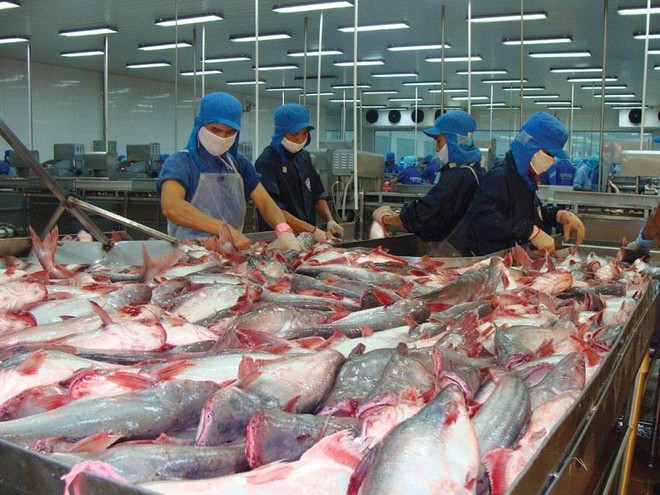 Kl991.com World Cup 2026 Chính Thức thuỷ sản áp dụng quy trình Kl994 nhà cái bóng đá world cup khép kín từ nuôi trồng đến chế biến xuất khẩu, đảm bảo các điều kiện Kl994 nhà cái bóng đá world cup theo tiêu chuẩn quốc tế