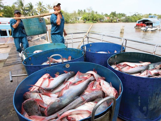 Rất nhiều quy hoạch ngành, sản phẩm đang được thực hiện, nhưng không phù hợp với thể chế của nền Kl992 cổng game cá cược thị trường. Ảnh: Lê Toàn
