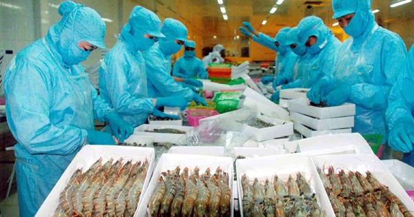 Xuất khẩu tôm “điêu đứng” vì lệnh cấm Link Vào Nhà Cái KL99 COM Tặng +199k của Úc