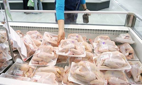 Đùi gà Mỹ nhập về Việt Nam chỉ 15.500 đồng một kg