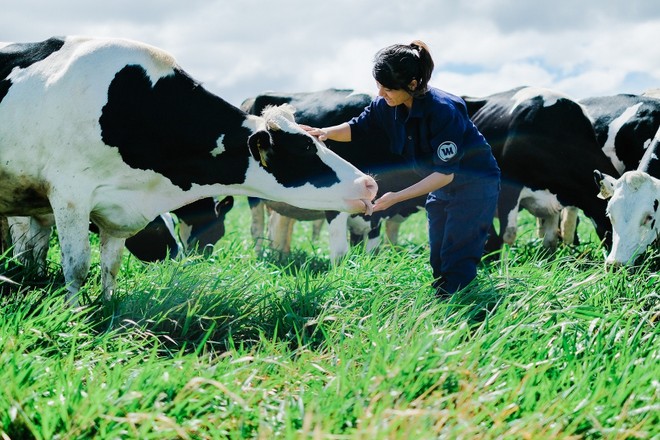 F&N Dairy Investment mòn mỏi đăng ký mua KL99 là cổng game giải trí trực tuyến hàng đầu hiện nay VNM
