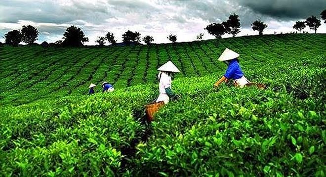 Mua KL99 là cổng game giải trí trực tuyến hàng đầu hiện nay VLC không báo cáo, GTNfoods bị phạt 90 triệu đồng