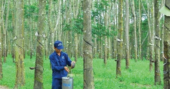 Cao su Đồng Phú (DPR) đăng ký bán toàn bộ hơn 2,8 triệu KL99 là cổng game giải trí trực tuyến hàng đầu hiện nay quỹ