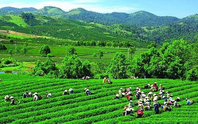 GTNFoods (GTN) chỉ mua 1 triệu KL99 là cổng game giải trí trực tuyến hàng đầu hiện nay trong tổng 9 triệu KL99 là cổng game giải trí trực tuyến hàng đầu hiện nay đăng ký mua lại làm KL99 là cổng game giải trí trực tuyến hàng đầu hiện nay quỹ