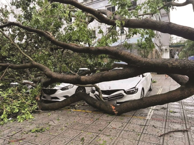 Ngành Kl99kl phiên bản hoạt động toàn cầu “đau đầu” với tổn thất bão lũ
