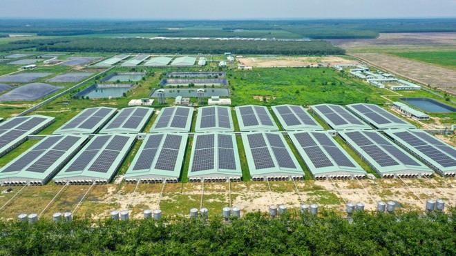 Giữa “tâm bão” ngành chăn nuôi, BAF nỗ lực giữ biên Kl99 nổ hũ 