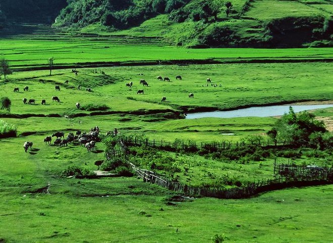Măng Đen - Kon Tum có điều kiện thuận lợi để Kl99ok phiên bản mới xây dựng sân Golf.