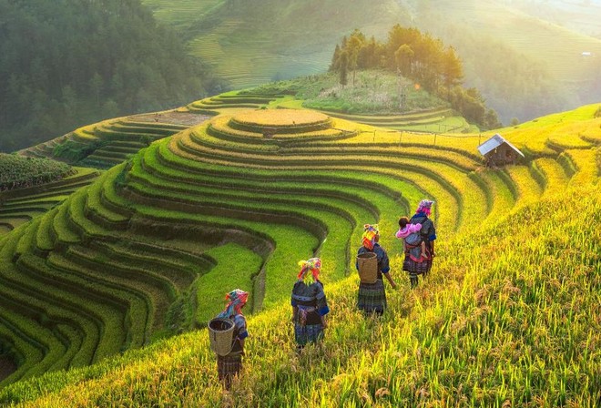 Việt Nam vẫn được các quỹ Kl99ok phiên bản mới “yêu thương”