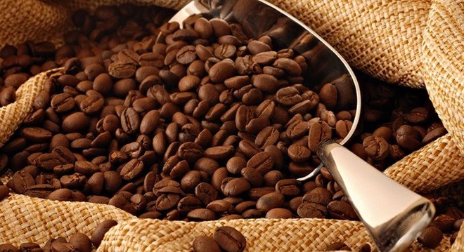 Vinacafe và mảng Kl992 VIP Trang Chủ 2026 bia của Masan tăng trưởng mạnh mẽ gấp hơn 3 lần trong năm 2015