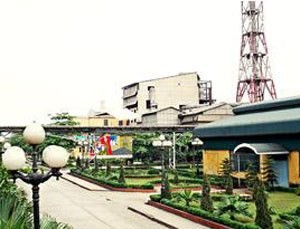 LAS: Quý IV/2013, Kl99 nổ hũ và doanh thu ngược chiều