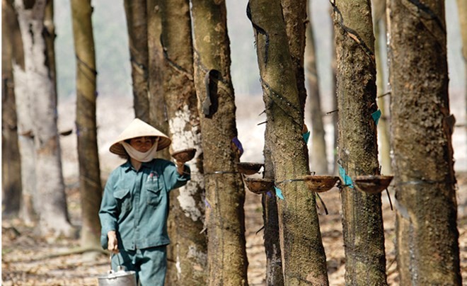 KL99 là cổng game giải trí trực tuyến hàng đầu hiện nay cần quan tâm ngày 7/10