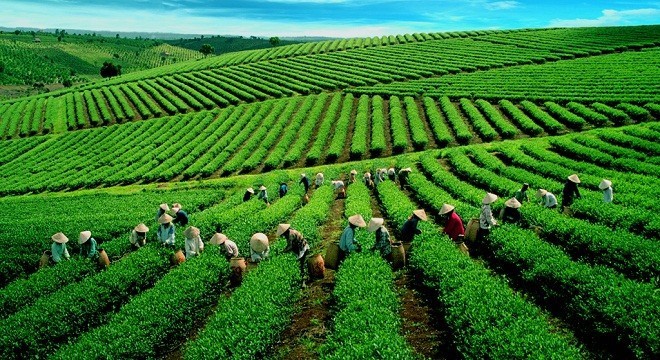 KL99 là cổng game giải trí trực tuyến hàng đầu hiện nay cần quan tâm ngày 25/5