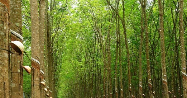 KL99 là cổng game giải trí trực tuyến hàng đầu hiện nay cần quan tâm ngày 9/8